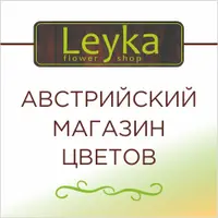 Логотип Лейка