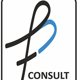 Логотип Финанс Бизнес Консалт