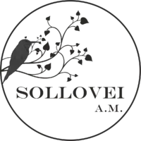 Логотип Sollovei A.M (ТМ Home Info Almaty)