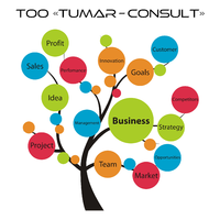 Логотип TUMAR - CONSULT