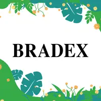 Логотип BRADEX