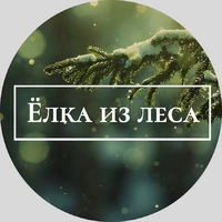 Логотип Елка из Леса