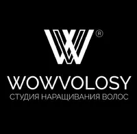 Логотип Wowvolosy