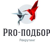 Логотип Pro-подбор