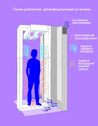 Логотип Маркет Красоты