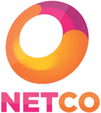 Логотип Netka Telecom