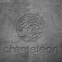 Логотип Дизайн студия Chameleon