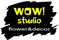 Логотип WOW! studio