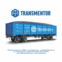 Логотип TransMentor