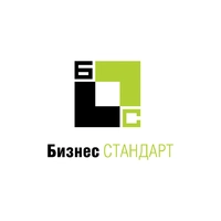 Логотип Бизнес стандарт