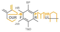 Логотип Your Formula