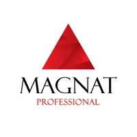 Логотип Коммуникационное агентство Magnat Professional