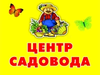 Собчаков Андрей Николаевич отзывы сотрудников