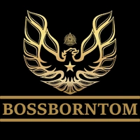 Логотип BOSSBORNTOM