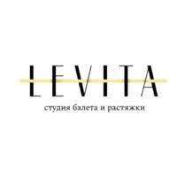 Логотип Levita (ИП Николаева Мария Игоревна)