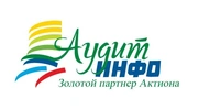 Логотип Аудит Инфо