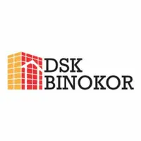 Логотип DSK BINOKOR