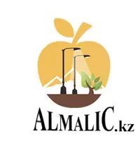 Логотип ALMALIC.kz