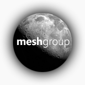 Логотип Mesh Group