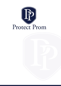 Логотип Protect Prom