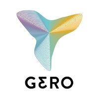 Логотип Gero LLC