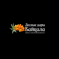 Логотип Лесные Дары Байкала