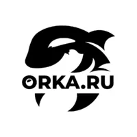 Логотип ORKA.RU