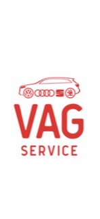 Логотип VAGservice Balashikha