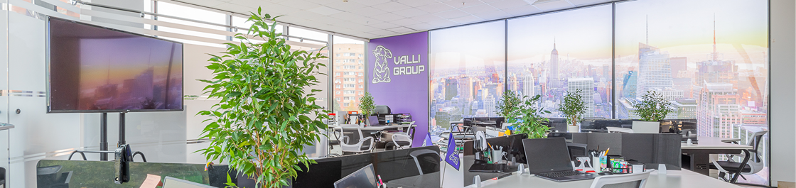 баннер VALLI GROUP