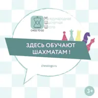 Логотип ChessToGo