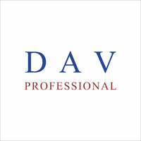 Логотип DAV Professional