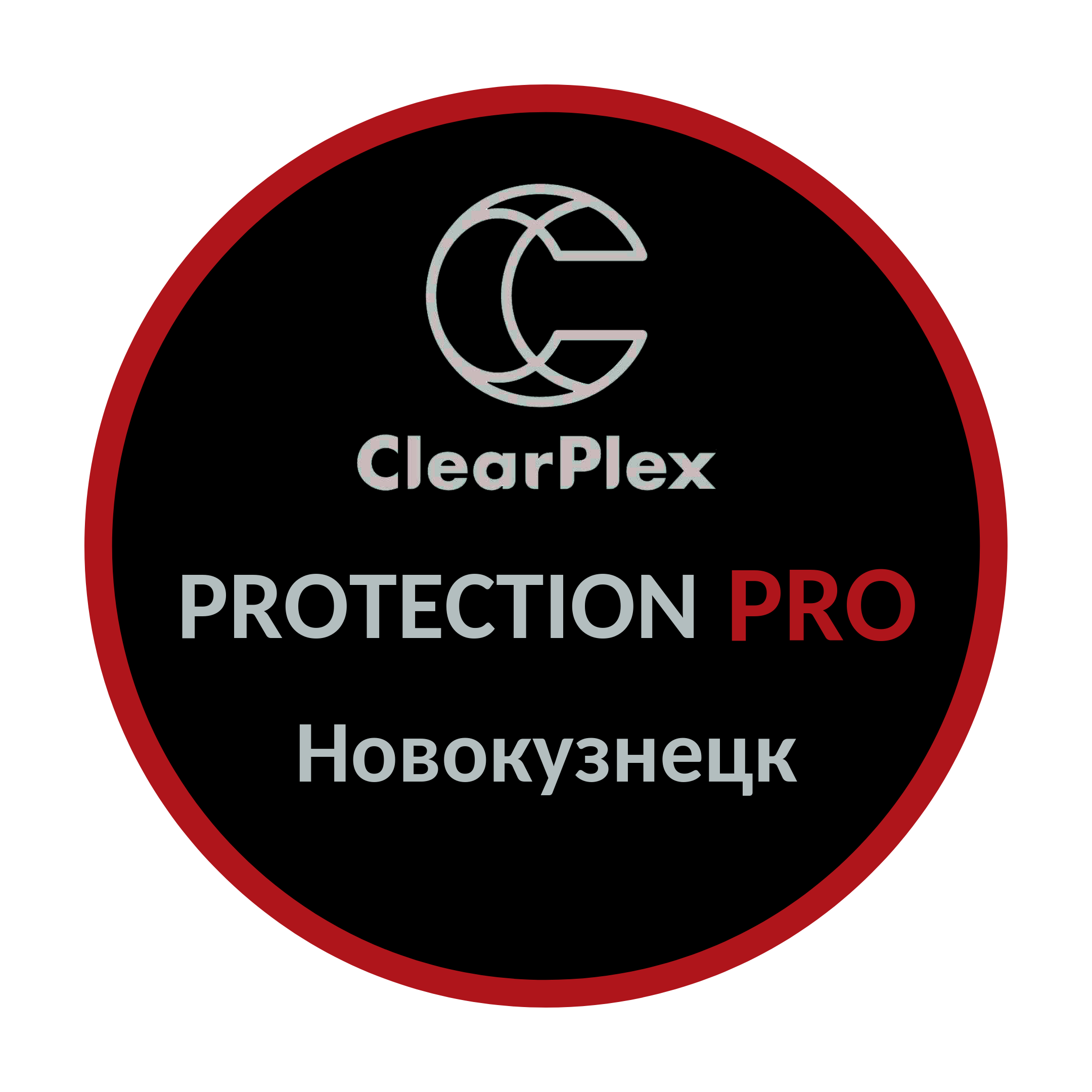 Логотип ProtectionPro