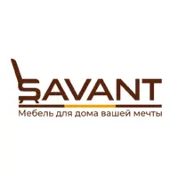 Логотип Savant.kz