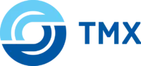 Логотип ТрансМашХолдинг, Группа компаний