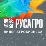 Логотип Группа Компаний РУСАГРО
