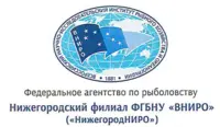 Нижегородский филиал ФГБНУ ВНИРО отзывы сотрудников