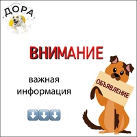 ВГОО Общество защиты бездомных животных Дора отзывы сотрудников