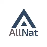 Логотип Аутсорсинговая фирма Allnat