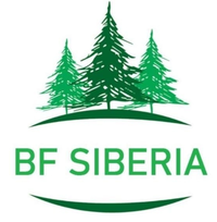 Логотип Студия адресных табличек BF SIBERIA