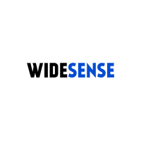 Логотип Widesense