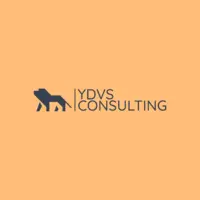 Логотип YDVS iGaming Consulting