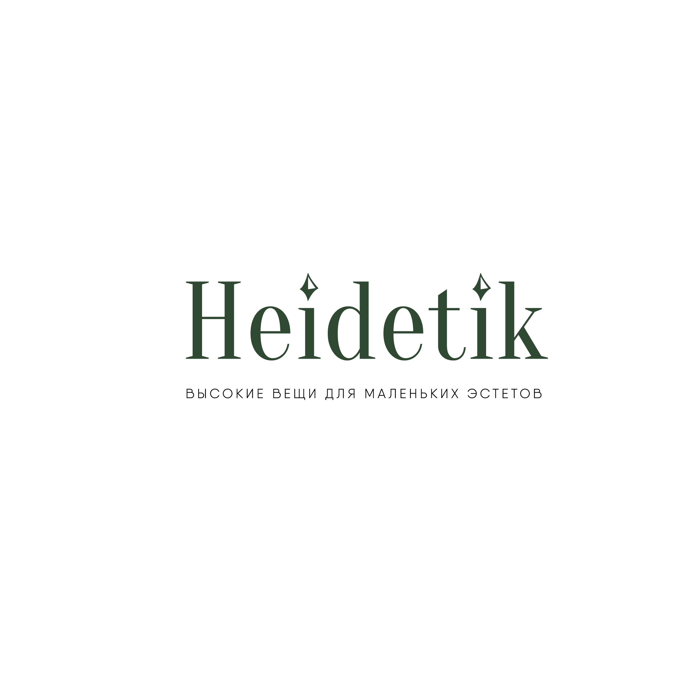 Логотип Heidetik