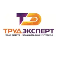 Логотип ТрудЭксперт