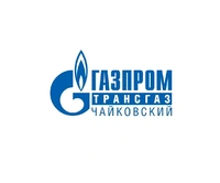 Логотип Березниковское ЛПУМГ - филиал «ООО «Газпром трансгаз Чайковский»