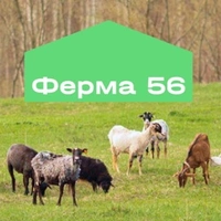 Логотип Ферма 56 (ООО Штурман)