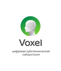 Логотип VOXEL