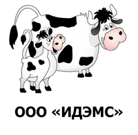 ИДЭМС отзывы сотрудников