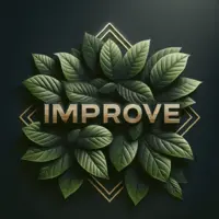 Логотип Агентство IMPROVE