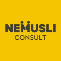 Nemusli Consult отзывы сотрудников