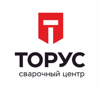 Логотип Торус